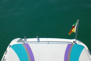 Preview: Bowrider Cobia mit Bodenseezulassung verkauft!!!