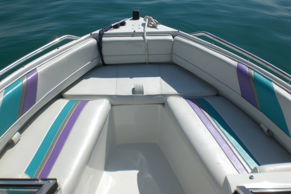 Bowrider Cobia mit Bodenseezulassung verkauft!!!