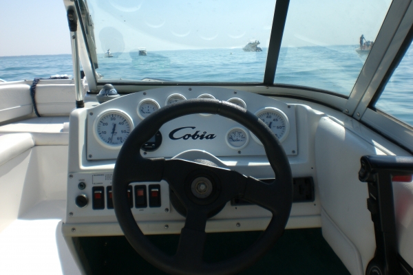 Bowrider Cobia mit Bodenseezulassung verkauft!!!