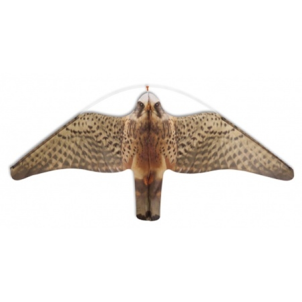 Stopgull Falcon Möwenabwehr mit 5 Meter Teleskopstange